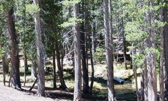 Camping near Sherwin Creek: Coldwater Campground, Mammoth Lakes, California