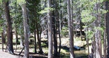 Coldwater Campground - Inyo Nf (ca)