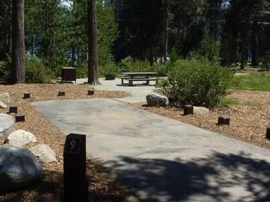 Camper submitted image from Sierra National Forest College Campground - 4