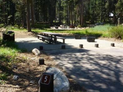 Camper submitted image from Sierra National Forest College Campground - 3