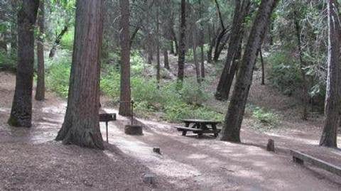 Camper submitted image from Sequoia National Forest Coy Flat Campground - 5