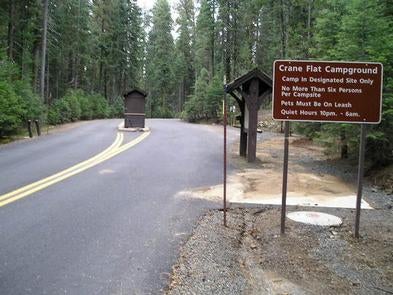 Camper submitted image from Crane Flat Campground — Yosemite National Park - 1