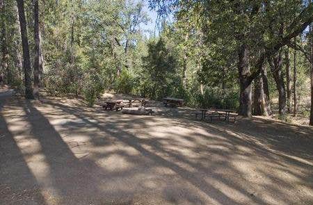 Camping near Spring Cove Campground: Crane Valley, Bass Lake, California