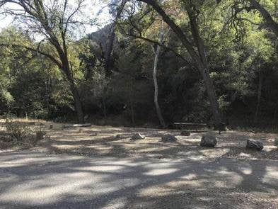 Camper submitted image from Davy Brown Campground - 4