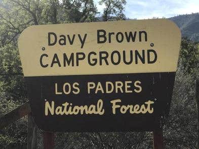 Camper submitted image from Davy Brown Campground - 3