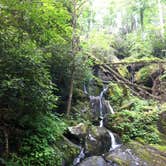 Review photo of Elkmont Campground — Great Smoky Mountains National Park by Annie C., September 11, 2016