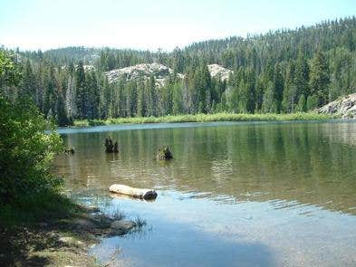 Camper submitted image from Tahoe National Forest Diablo Campground - 3