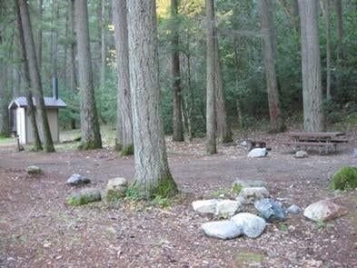 Camper submitted image from Dillon Creek Campground - 3