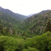 Review photo of Elkmont Campground — Great Smoky Mountains National Park by Annie C., September 11, 2016