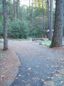 Camper submitted image from Dillon Creek Campground - 1