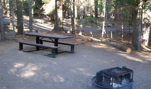 Camper submitted image from Dinkey Creek - 1