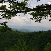 Review photo of Elkmont Campground — Great Smoky Mountains National Park by Annie C., September 11, 2016