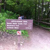 Review photo of Elkmont Campground — Great Smoky Mountains National Park by Annie C., September 11, 2016