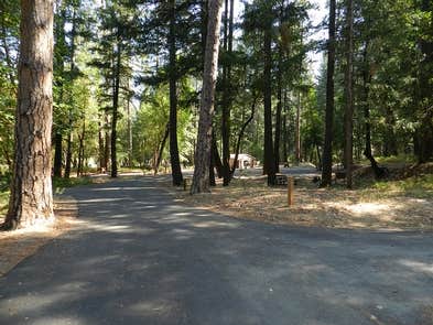 Camping near Bigfoot Campground & RV Park: Douglas City Campground, Douglas City, California