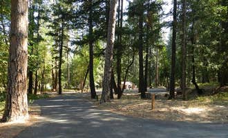 Camping near Old Lewiston Bridge RV Resort: Douglas City Campground, Douglas City, California