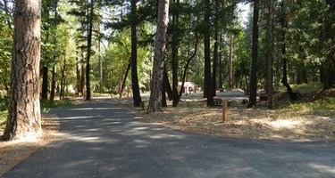 Douglas City Campground