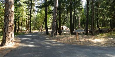 Camper submitted image from Douglas City Campground