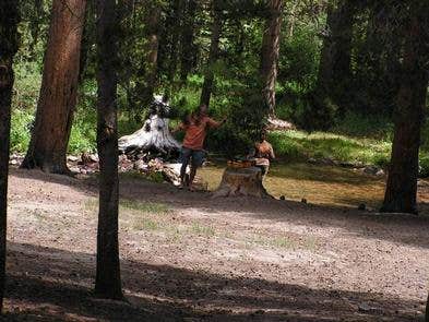 Camper submitted image from East Fork Campground – Inyo National Forest (CA) - 1