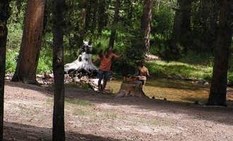 Camping near Crowley Lake RV Park: East Fork Campground – Inyo National Forest (CA), Swall Meadows, California