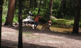 Camping near Ruby Lake Campground: East Fork Campground – Inyo National Forest (CA), Swall Meadows, California
