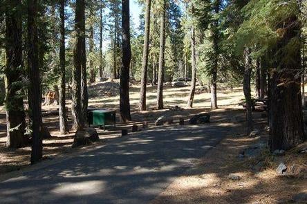 Camper submitted image from East Meadow Campground - 2
