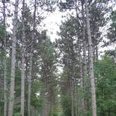 Review photo of Emily Lake NF Campground by Nicole M., September 11, 2016