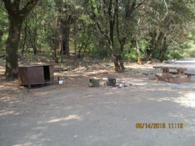 Camper submitted image from Ellery Creek - 1
