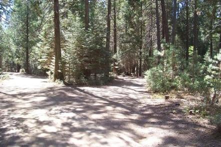 Camper submitted image from Eshom Campground - 1