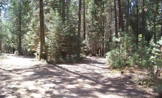 Camping near Sequoia Resort & RV Park: Eshom Campground, Hartland, California