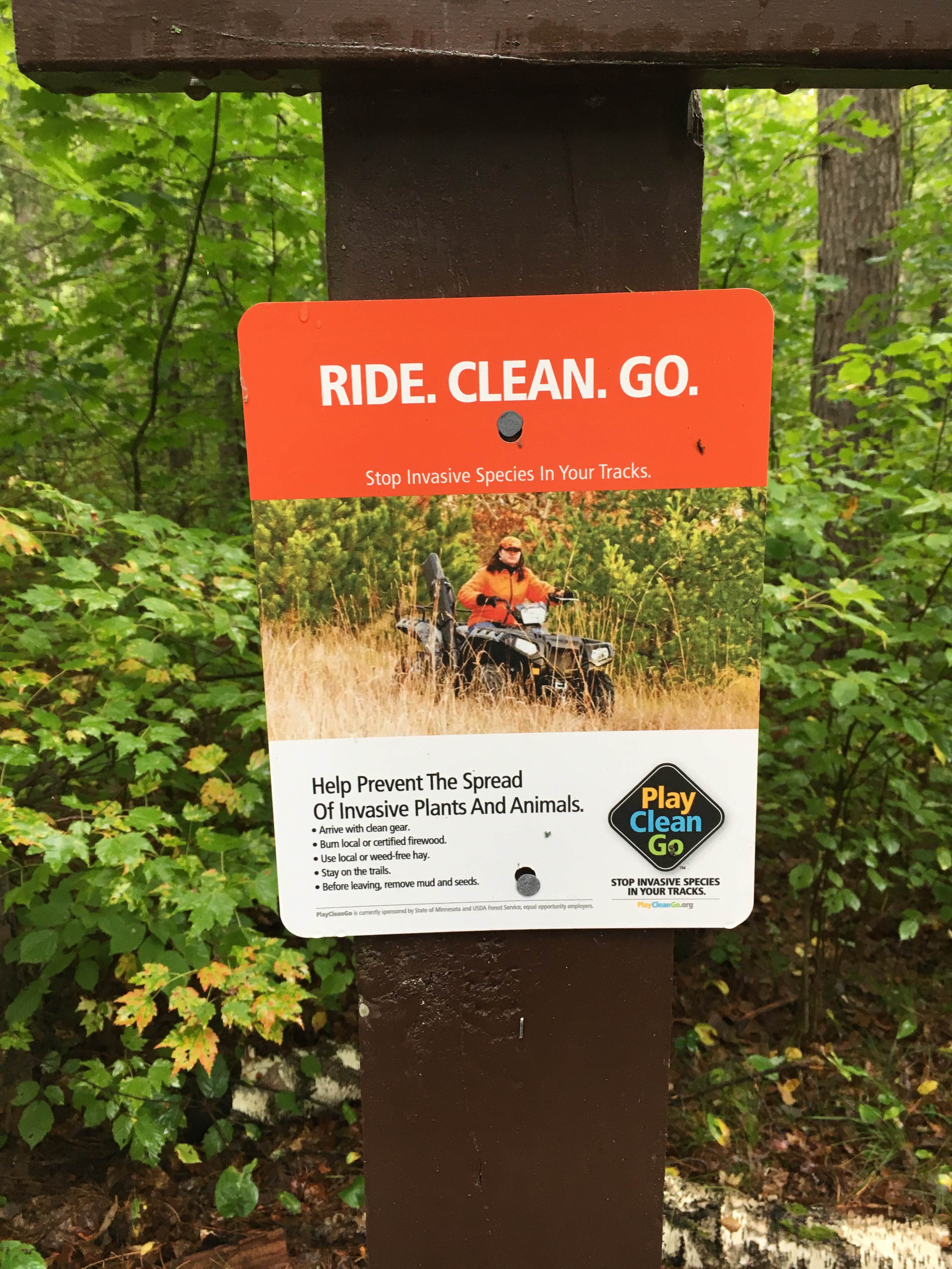 Camper submitted image from Wanoka Lake Campground - TEMPORARILY CLOSED - 2