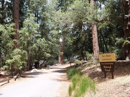 Roadway with Fern Basin Campground sign.



Credit: