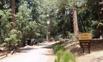 Camping near ∴Primitive Freedom - Palm Springs: Fern Basin Campground, Idyllwild-Pine Cove, California