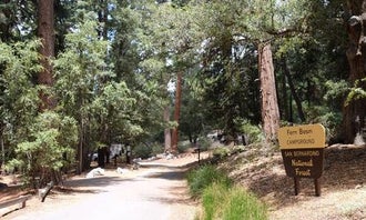 Camping near In the Pines: Fern Basin Campground, Idyllwild-Pine Cove, California