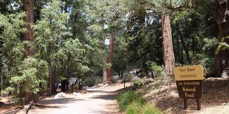 Camper submitted image from Fern Basin Campground