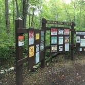 Review photo of Wanoka Lake Campground - TEMPORARILY CLOSED by Matt S., September 11, 2016