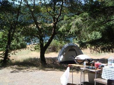 Camper submitted image from Fir Cove Campground - 5