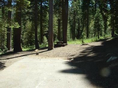 Camper submitted image from Fir Top Campground - 1