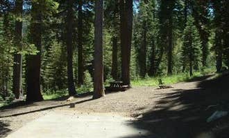 Camping near Silver Tip Group Campground: Fir Top Campground, Sierra City, California