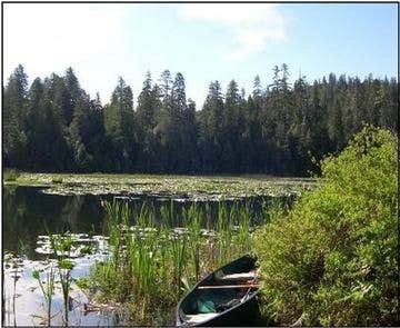 Camper submitted image from Fish Lake Campground - 4