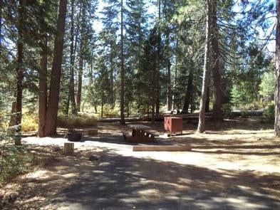 Camper submitted image from Fowlers Campground - 5