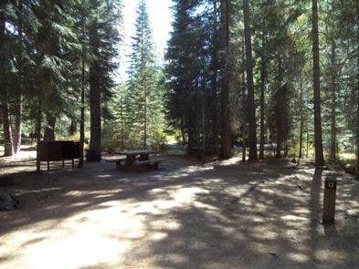 Camper submitted image from Fowlers Campground - 2