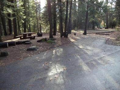 Camper submitted image from Fowlers Campground - 5