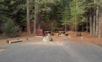 Camping near The Healing Place: Fowlers Campground, McCloud, California