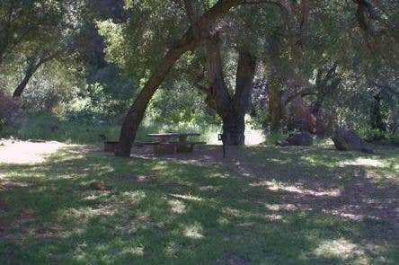 Camper submitted image from Fremont Campground - 4