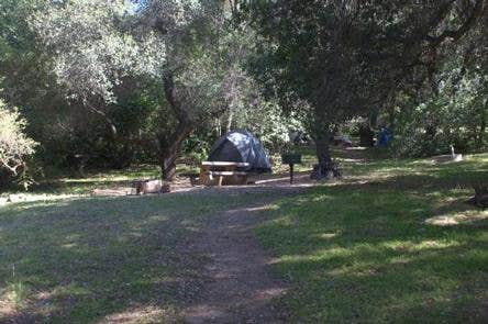 Camper submitted image from Fremont Campground - 1