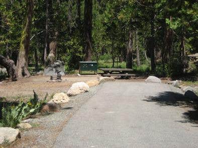 Camper submitted image from French Meadows - 2