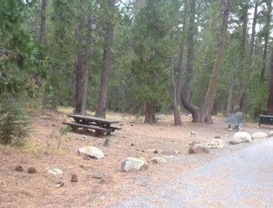 Camper submitted image from French Meadows - 3