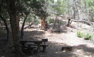 Camping near La Jolla Indian Campground: Fry Creek Campground, Palomar Mountain, California