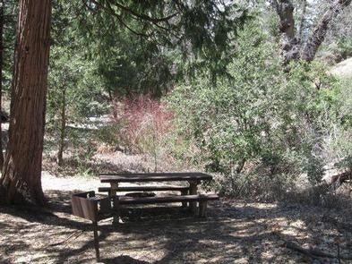 Camper submitted image from Fry Creek Campground - 4