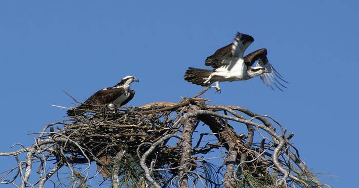 Groveland photo 4